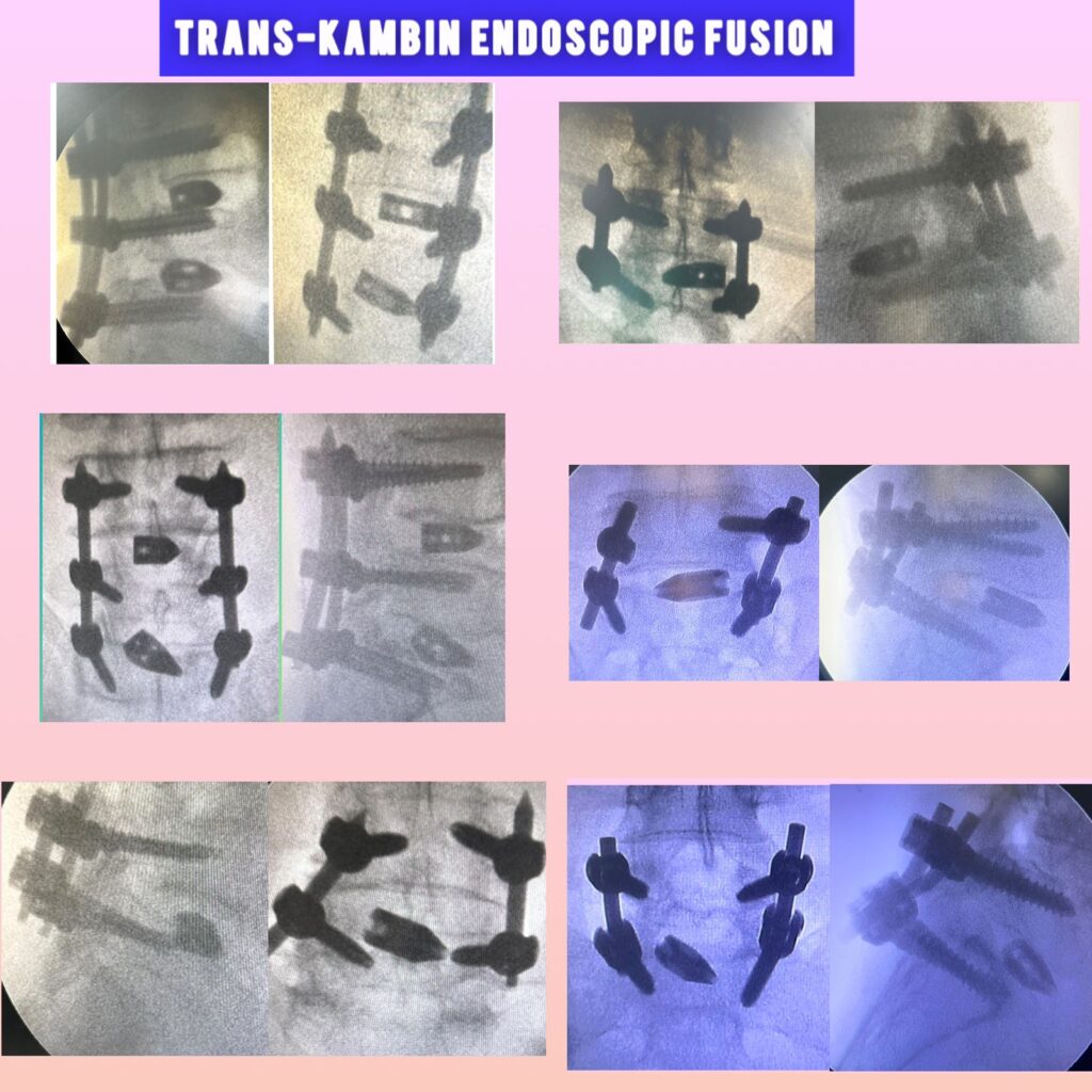 whatsapp image 2025 11 17 at 11.59.28 am