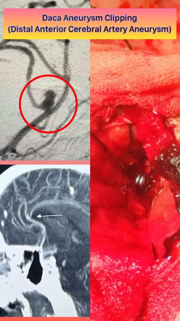 whatsapp image 2025 11 17 at 11.59.29 am (2)